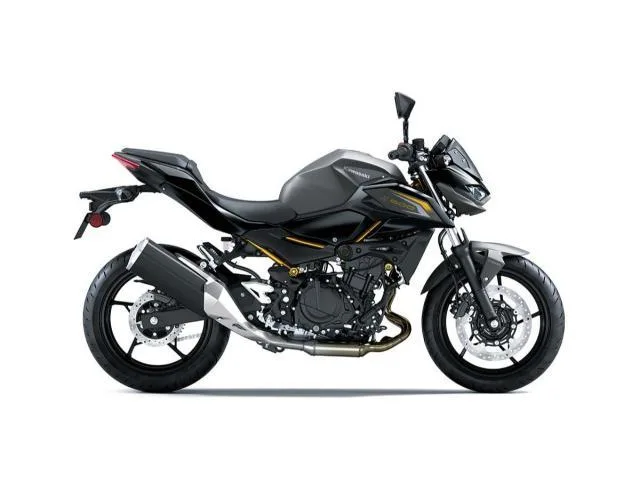 Kawasaki Z500 2026 2026 — миниатюра 2