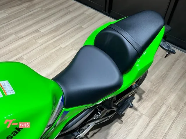 Kawasaki Ninja 650 2026 2026 — миниатюра 5