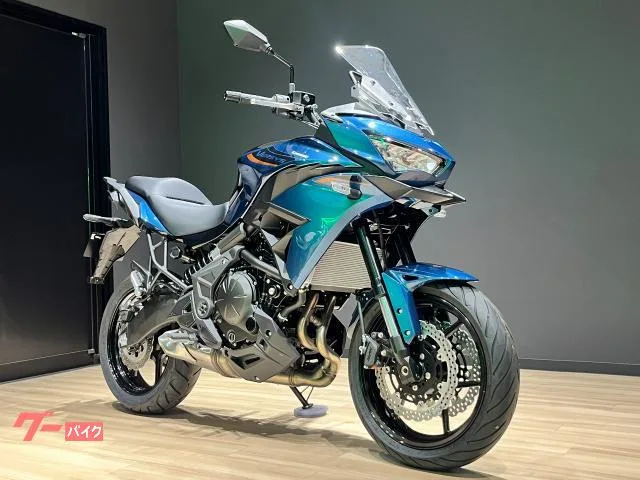 Kawasaki VERSYS 650 2026 2026 — миниатюра 2