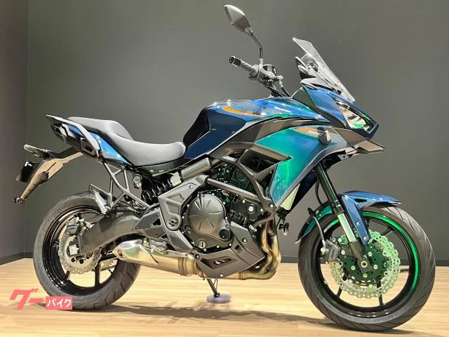 Kawasaki VERSYS 650 2026 2026 — фото 1, купить с доставкой в Москву