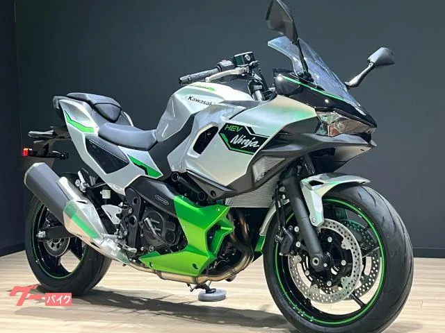 Kawasaki Ninja 7 Hybrid 2024 2024 — миниатюра 2