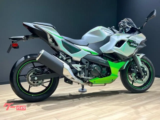 Kawasaki Ninja 7 Hybrid 2024 2024 — миниатюра 4
