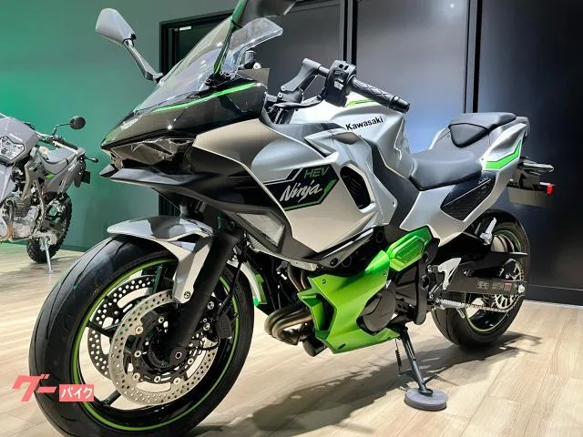 Kawasaki Ninja 7 Hybrid 2024 2024 — миниатюра 5