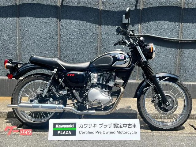 Kawasaki S1 2025 — фото 1, купить с доставкой в Москву