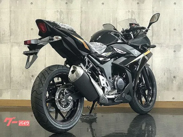 Suzuki GSX250R 2023 — миниатюра 3