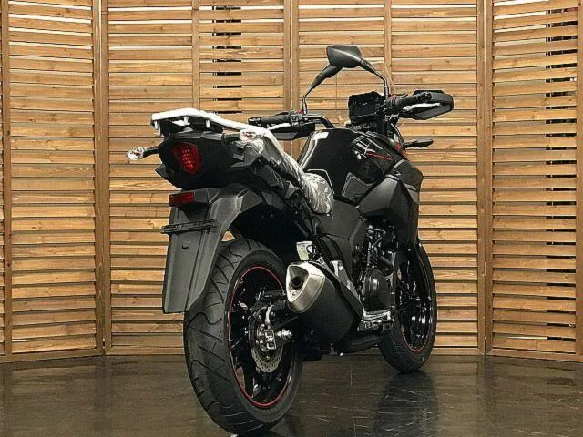 Suzuki V- 250 2024 2024 — миниатюра 3