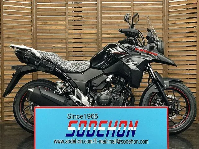 Suzuki V- 250 2024 2024 — фото 1, купить с доставкой в Москву