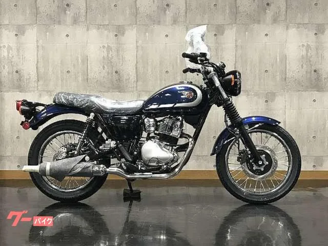 Kawasaki W230 2025 — миниатюра 2