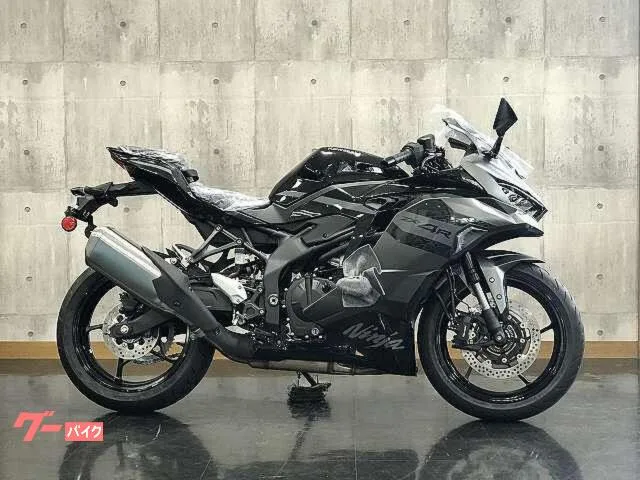 Kawasaki Ninja ZX-4R SE 2026 — миниатюра 2