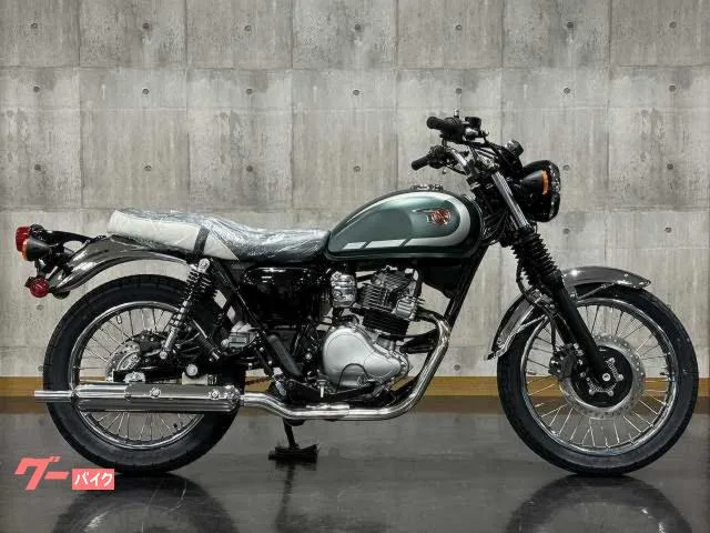 Kawasaki W230 2026 — миниатюра 2