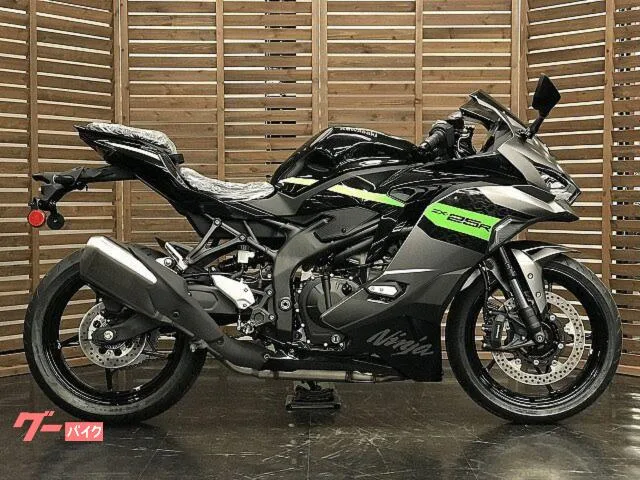 Kawasaki Ninja ZX-25R SE 2026 — миниатюра 2