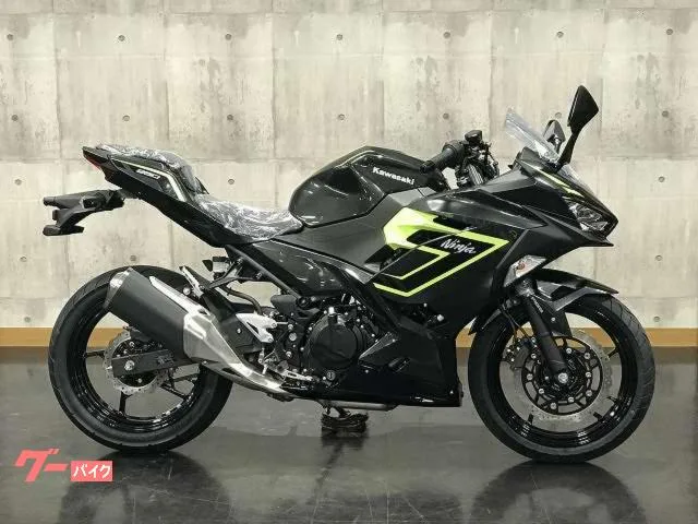 Kawasaki Ninja 250 2026 — миниатюра 2