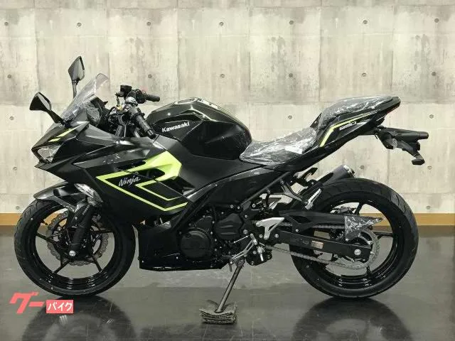 Kawasaki Ninja 250 2026 — миниатюра 3