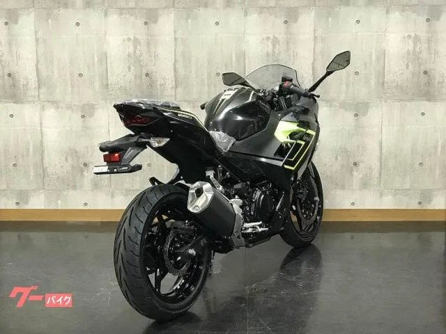Kawasaki Ninja 250 2026 — миниатюра 4