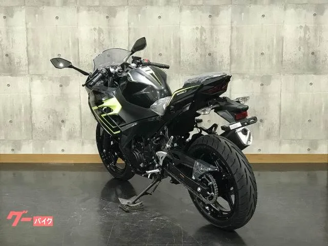 Kawasaki Ninja 250 2026 — миниатюра 5