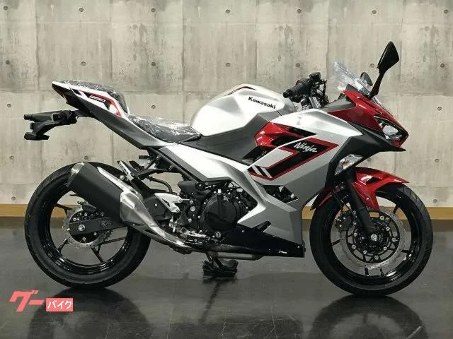 Kawasaki Ninja 250 2026 — миниатюра 2