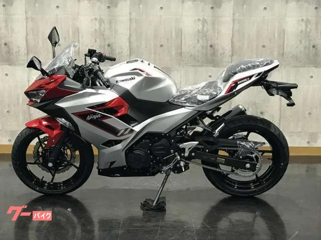 Kawasaki Ninja 250 2026 — миниатюра 3