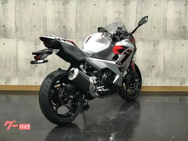 Kawasaki Ninja 250 2026 — миниатюра 4