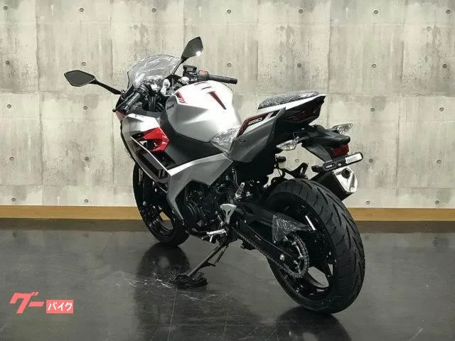 Kawasaki Ninja 250 2026 — миниатюра 5