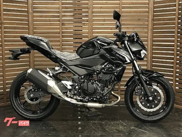 Kawasaki Z250 2026 — миниатюра 2
