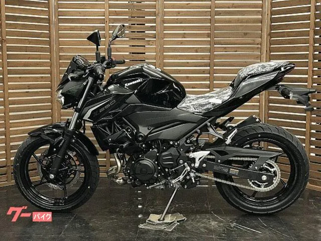 Kawasaki Z250 2026 — миниатюра 3