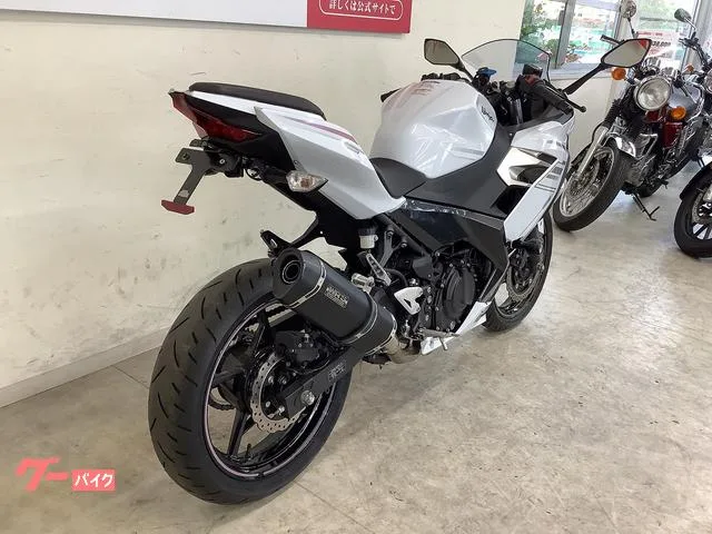 Kawasaki Ninja 400 WRS 2023 — миниатюра 2