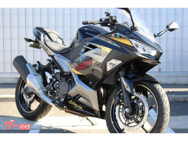 Kawasaki Ninja 400 2022 — фото 1, купить с доставкой в Москву