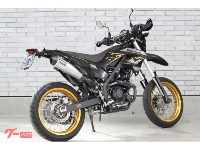 Kawasaki KLX230SM DELTA ZETA 2023 — миниатюра 3