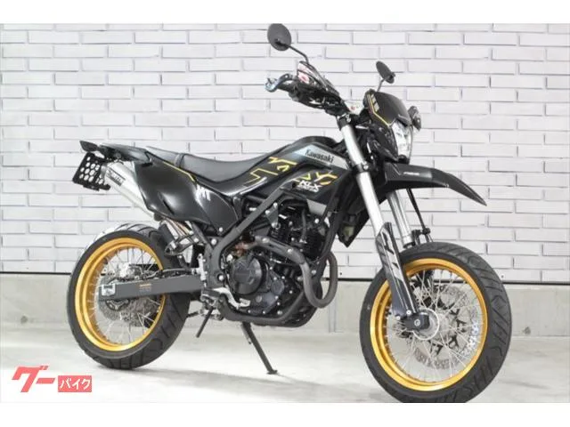 Kawasaki KLX230SM DELTA ZETA 2023 — фото 1, купить с доставкой в Москву
