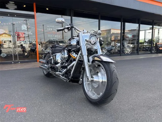 HARLEY-DAVIDSON FLSTFI 2025 — миниатюра 2