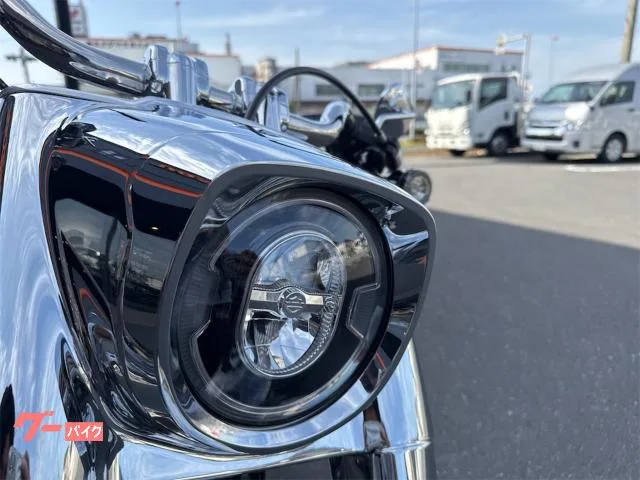 HARLEY-DAVIDSON FLSTFI 2025 — миниатюра 5