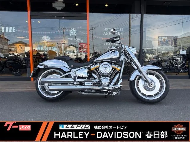 HARLEY-DAVIDSON FLSTFI 2025 — фото 1, купить с доставкой в Москву