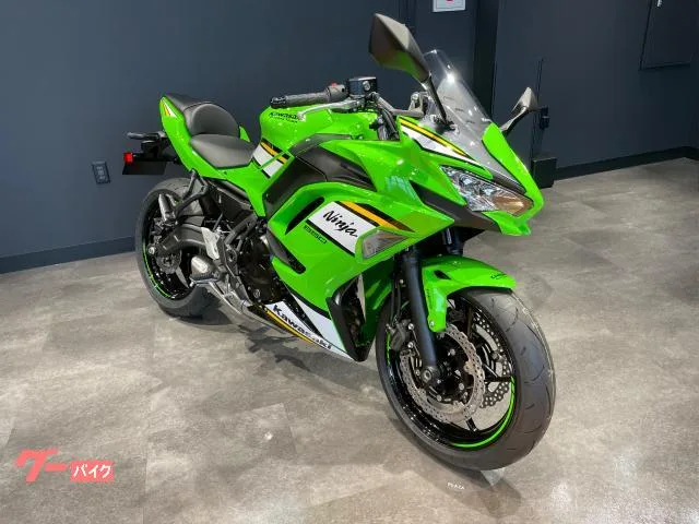 Kawasaki Ninja 650 KRT EDITION 2025 — миниатюра 2