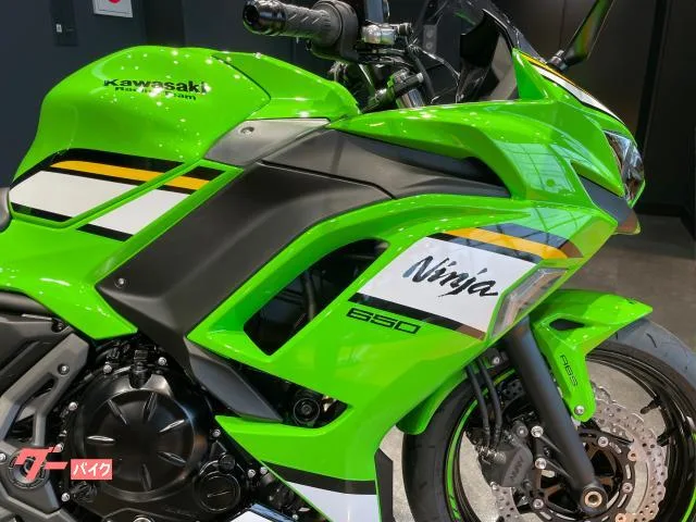 Kawasaki Ninja 650 KRT EDITION 2025 — миниатюра 5
