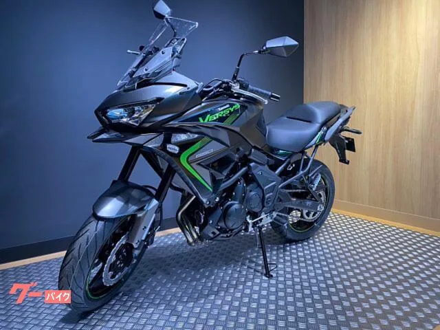 Kawasaki Versys 650 2025 — миниатюра 3