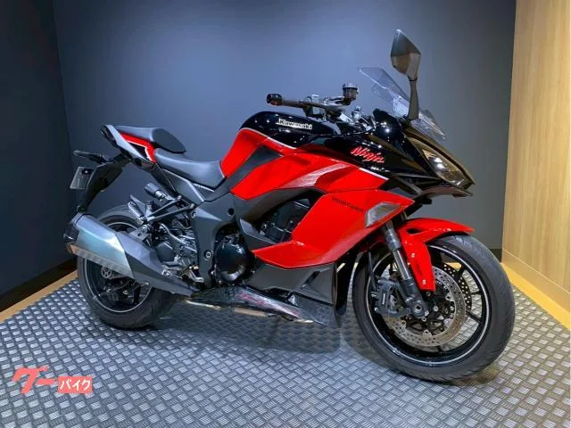 Kawasaki Ninja 1000 SX 40th Anniversary Edition 2024 — миниатюра 2