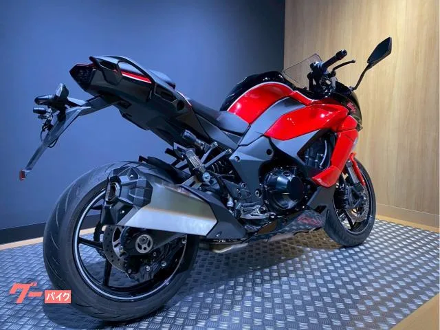 Kawasaki Ninja 1000 SX 40th Anniversary Edition 2024 — миниатюра 3
