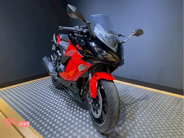 Kawasaki Ninja 1000 SX 40th Anniversary Edition 2024 — миниатюра 4