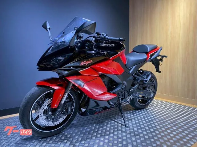 Kawasaki Ninja 1000 SX 40th Anniversary Edition 2024 — миниатюра 5