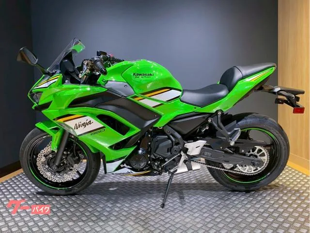 Kawasaki Ninja 650 ETC 2025 — миниатюра 2