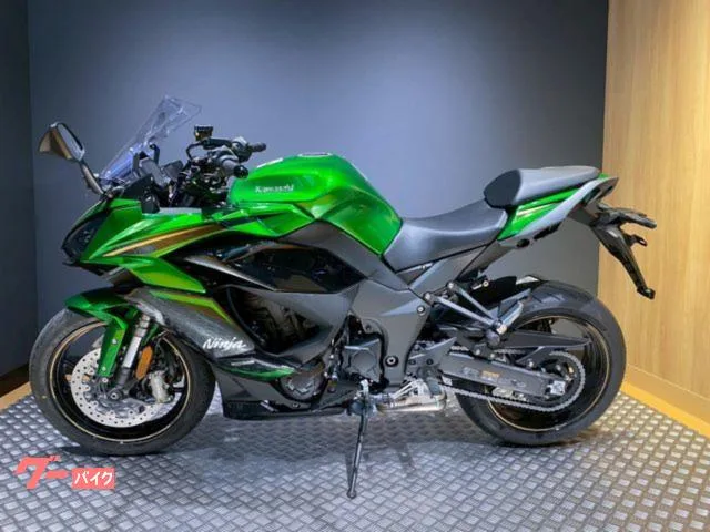 Kawasaki Ninja 1100 SX SE 2025 — миниатюра 2