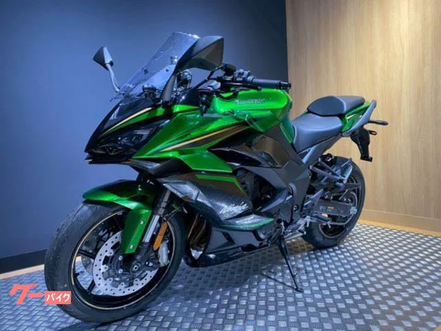 Kawasaki Ninja 1100 SX SE 2025 — миниатюра 4