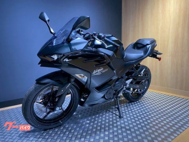 Kawasaki Ninja 500 2026 — миниатюра 4