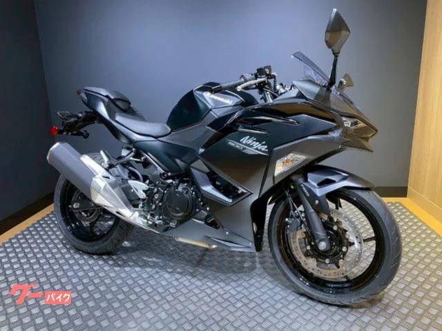 Kawasaki Ninja 500 2026 — фото 1, купить с доставкой в Москву