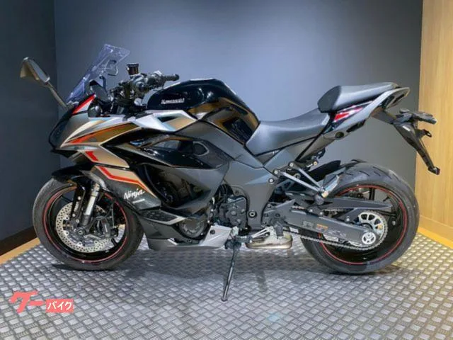Kawasaki Ninja 1000 SX 2024 — миниатюра 2