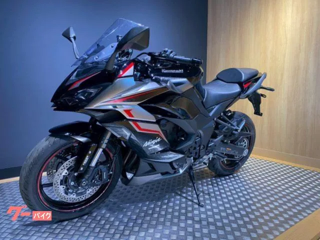 Kawasaki Ninja 1000 SX 2024 — миниатюра 4