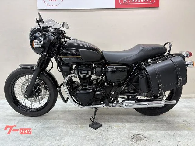 Kawasaki W800 USB 2023 — миниатюра 2