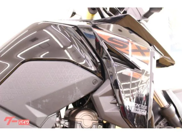 Suzuki V- 250SX///ETC/ 2024 — миниатюра 3
