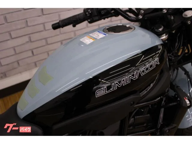 Kawasaki 400SE///ETC2.0/USB 2025 — миниатюра 3