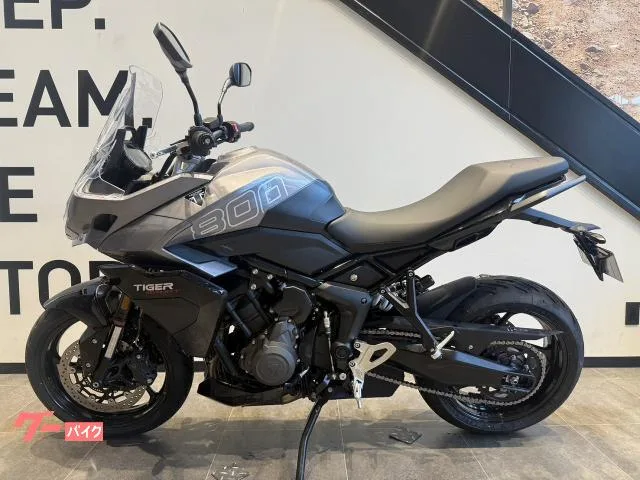 TRIUMPH 800 2026 — миниатюра 3